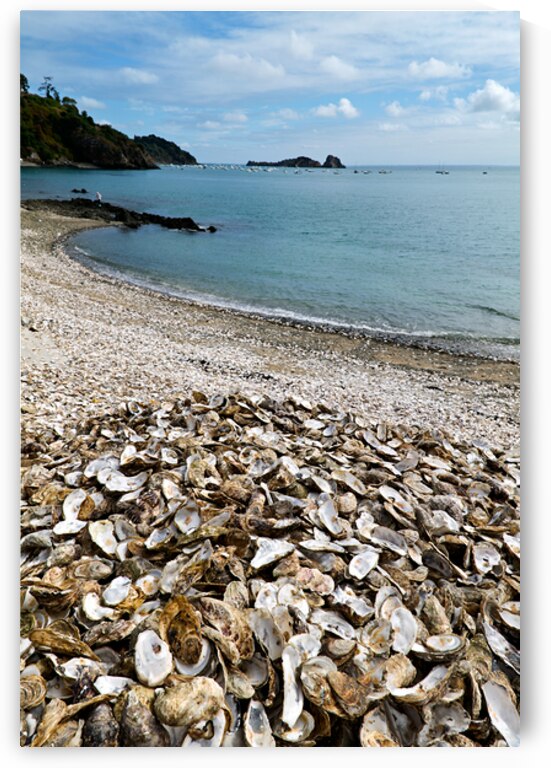 Oyster shells lay on the beach of Cancale Brittany France by Marco Brivio
