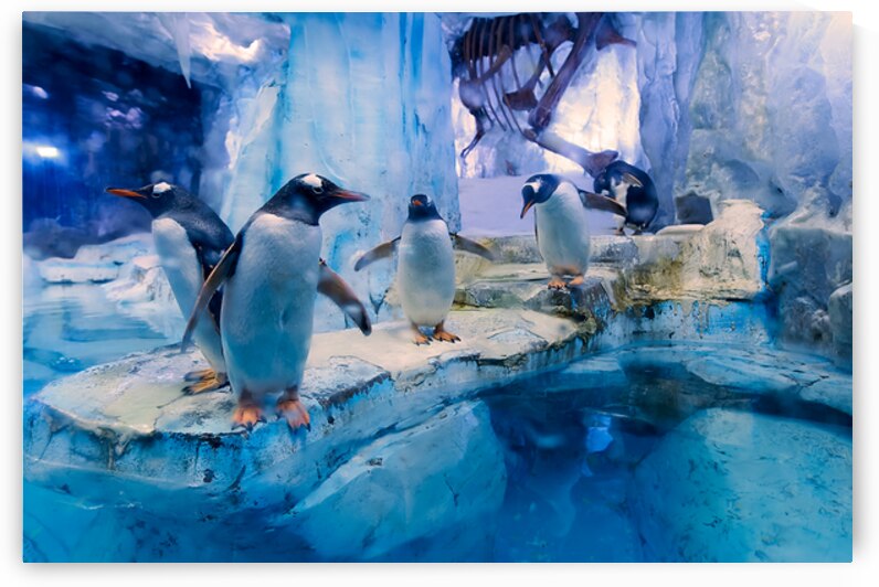 Penguins play on ice near water with a skeleton exhibit in Dubai by Marco Brivio