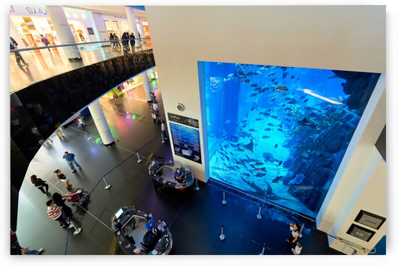 Large aquarium attracts visitors in shopping mall in Dubai UAE by Marco Brivio