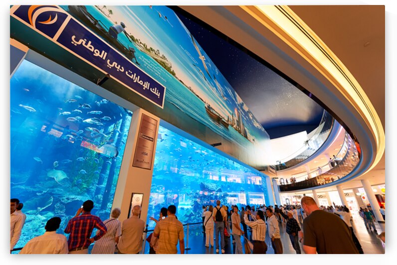 Visitors enjoy giant aquarium and screen in Dubai mall by Marco Brivio