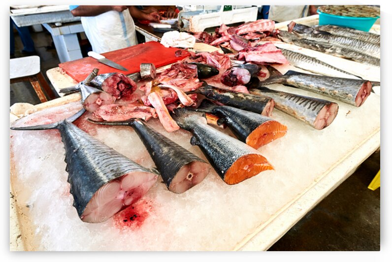 Fresh fish and seafood displayed on ice in Dubai market by Marco Brivio