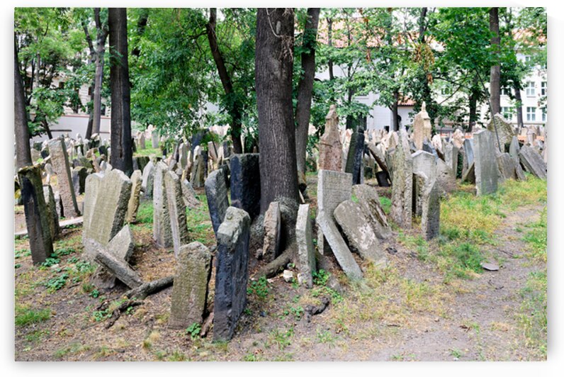 Old Jewish Cemetery Prague: ancient gravestones among trees. by Marco Brivio