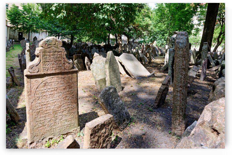 Ancient Jewish cemetery with weathered gravestones and trees. by Marco Brivio