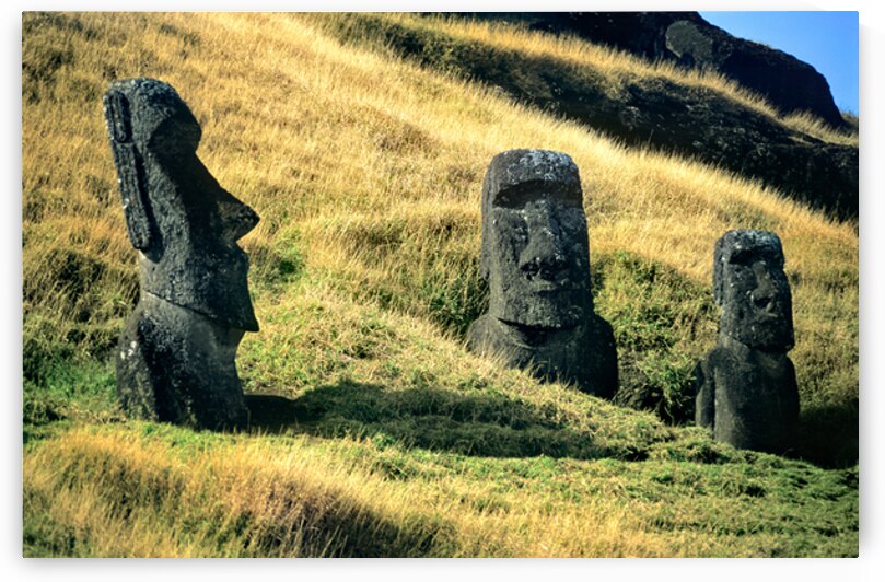 Three Moai statues on a grassy hillside. by Marco Brivio