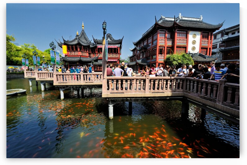 Crowds gather in traditional Chinese garden with fish pond in Sh by Marco Brivio