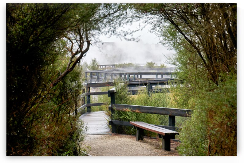 Explore geothermal trails in Whakarewarewa Rotorua New Zealand by Marco Brivio