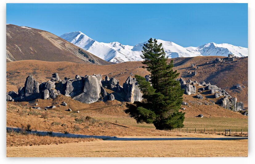 View of southern alps and castle hill in new zealand by Marco Brivio