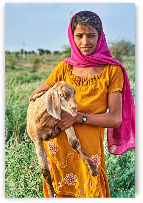 Girl holds goat in Khimsar Rajasthan India during sunny day by Marco Brivio