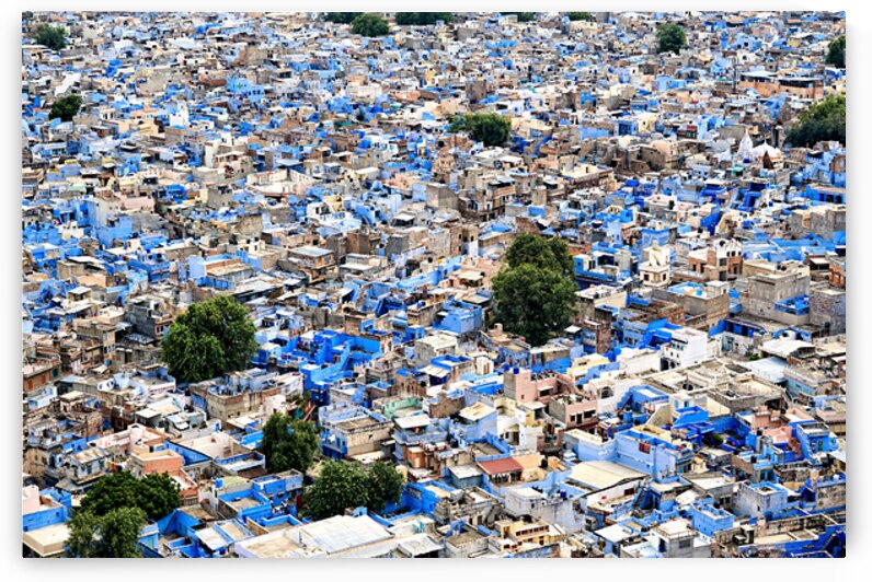 Cityscape view of blue houses in Jodhpur Rajasthan in India by Marco Brivio