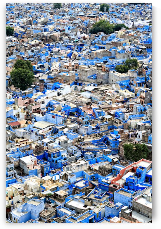Cityscape of blue houses in Jodhpur Rajasthan during the aftern by Marco Brivio