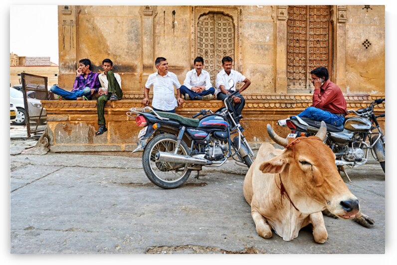 People gather in the streets with a cow in Jaisalmer Rajasthan by Marco Brivio
