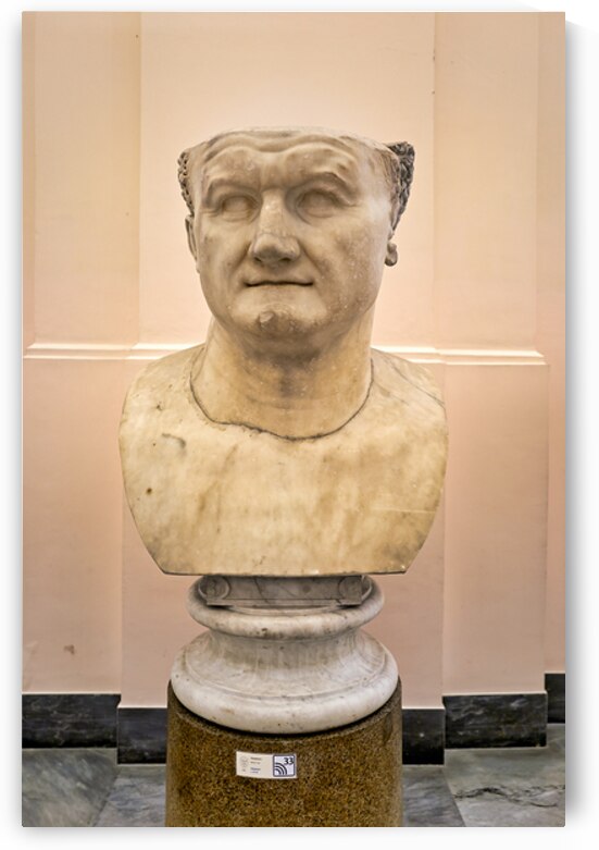 Bust of emperor vespasian at national archaeological museum in n by Marco Brivio