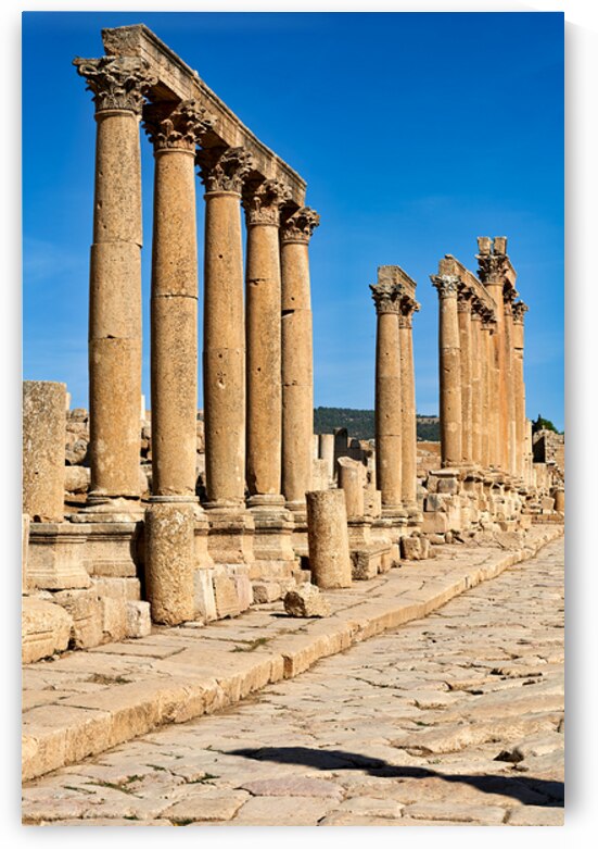 Colonnaded street in Gerasa a Greco Roman city in Jordan by Marco Brivio