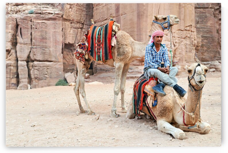 Camels wait for tourists at Petra archaeological site in Jordan by Marco Brivio