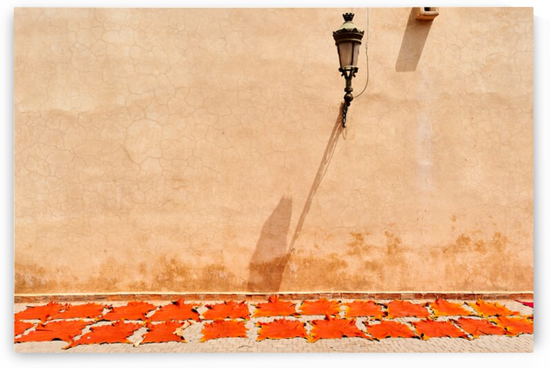 Dyed leather drying in the sun in Marrakesh Morocco by Marco Brivio