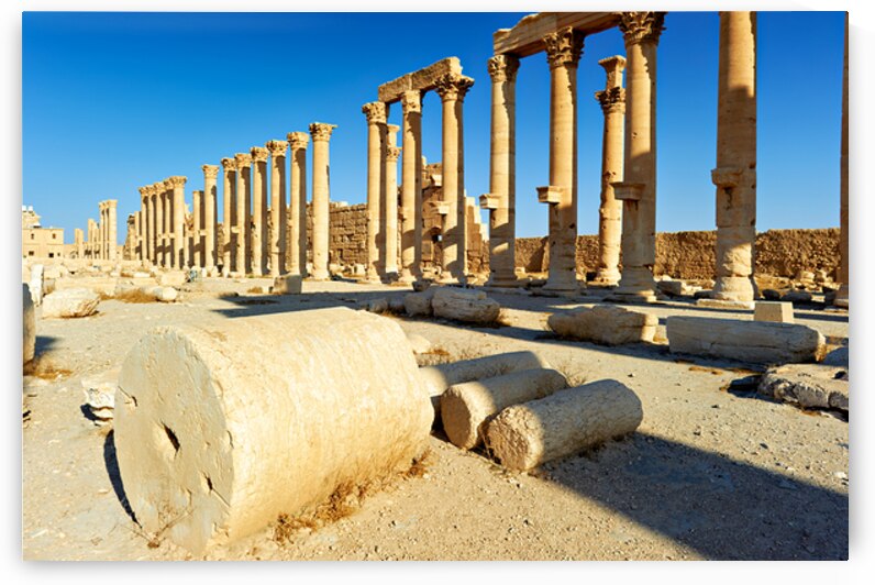 Exploration of the ruins at the ancient city of Palmyra in Syria by Marco Brivio