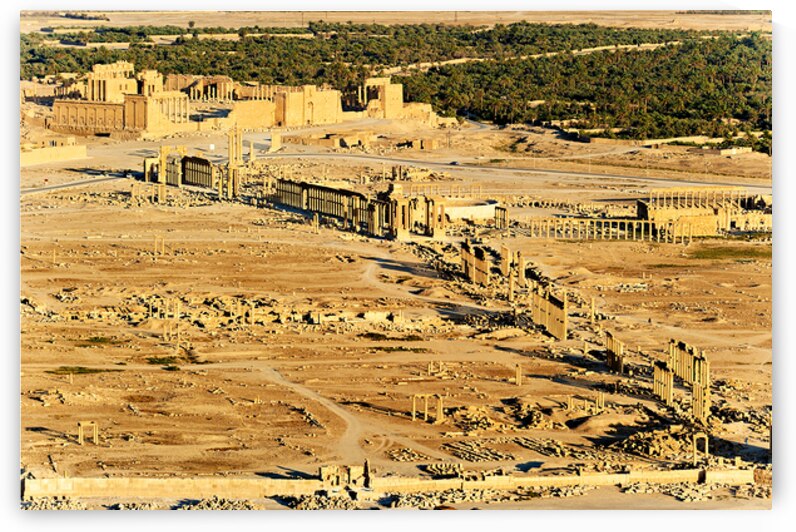 Aerial view of Palmyra ancient city in Syria reveals ruins and h by Marco Brivio