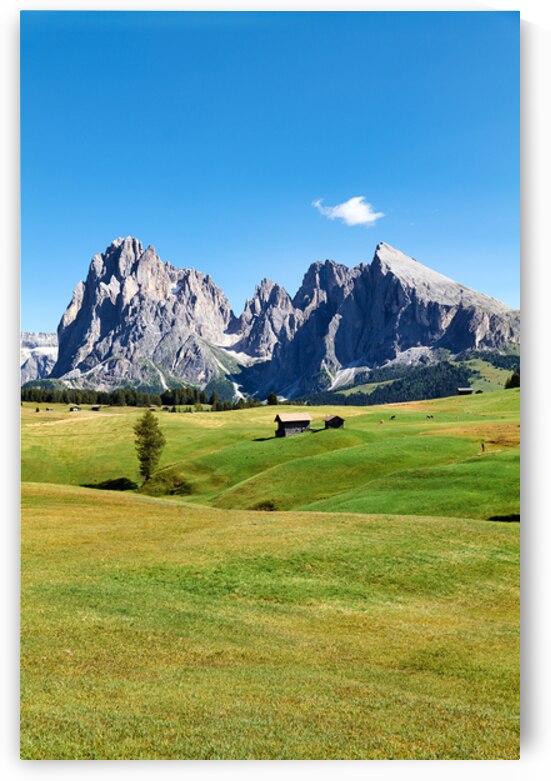 Panorama view of Sassolungo mountain peak in Val Gardena Italy by Marco Brivio