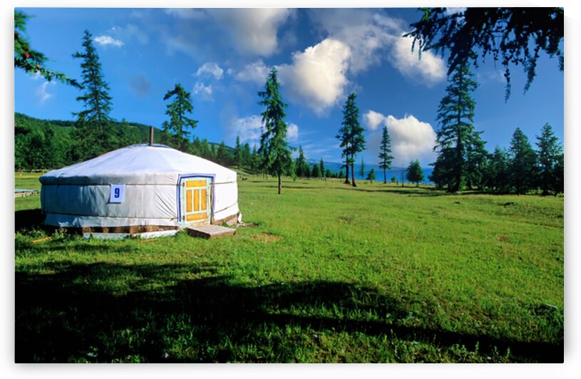 Ger tents near Khovsgol Lake in Mongolia during a sunny day by Marco Brivio