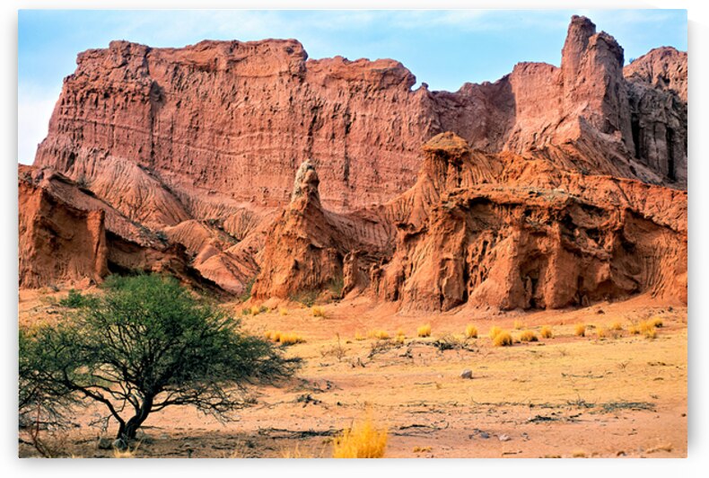 Eroded red rock formations in Quebrada de las Conchas near Cafay by Marco Brivio