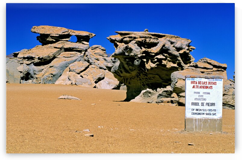 Unique desert rock formations including the Stone Tree. by Marco Brivio