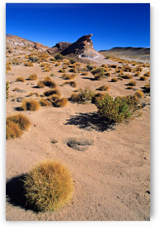 Desert scene: unique rock formation dry bushes clear sky. by Marco Brivio