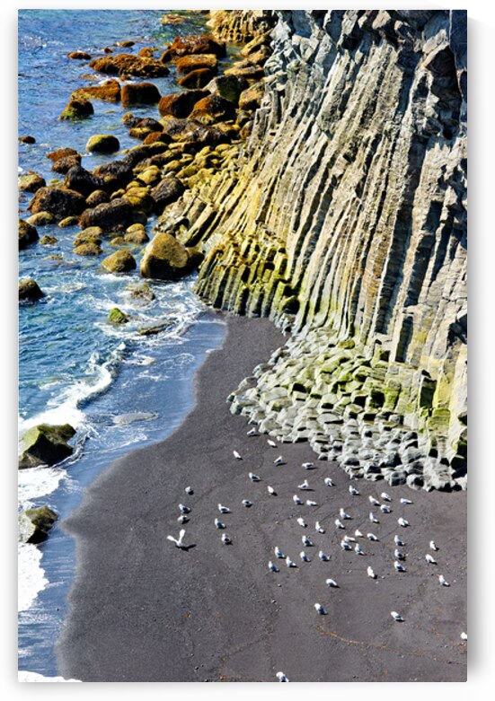 Exploring arnarstapi cliff and beach in iceland by Marco Brivio