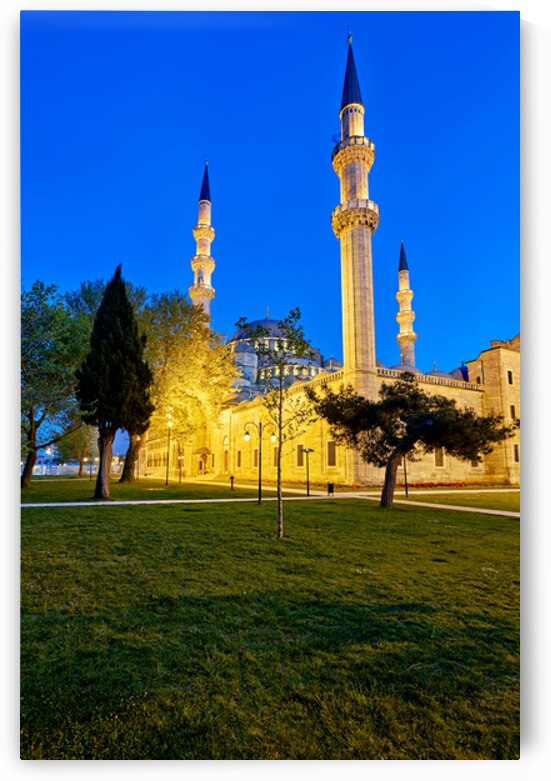 Night view of Suleymaniye Mosque in Istanbul Turkey by Marco Brivio