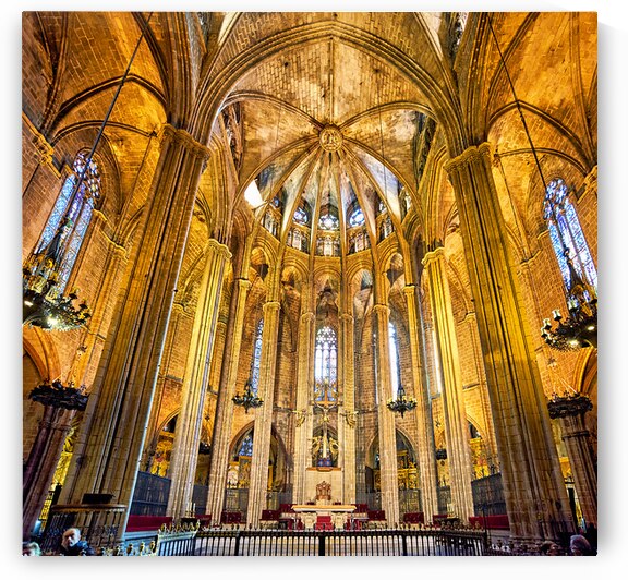 Explore cathedral of holy cross and saint eulalia in barcelona by Marco Brivio