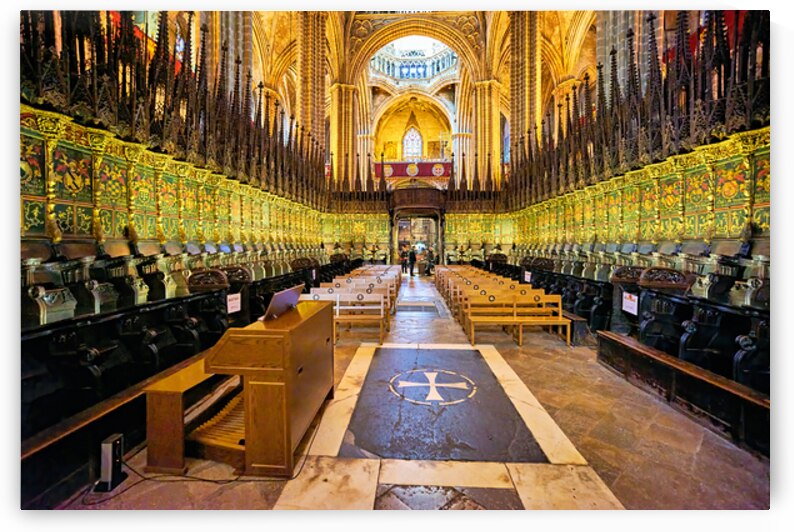 Visit cathedral in Barcelona with detailed architecture by Marco Brivio