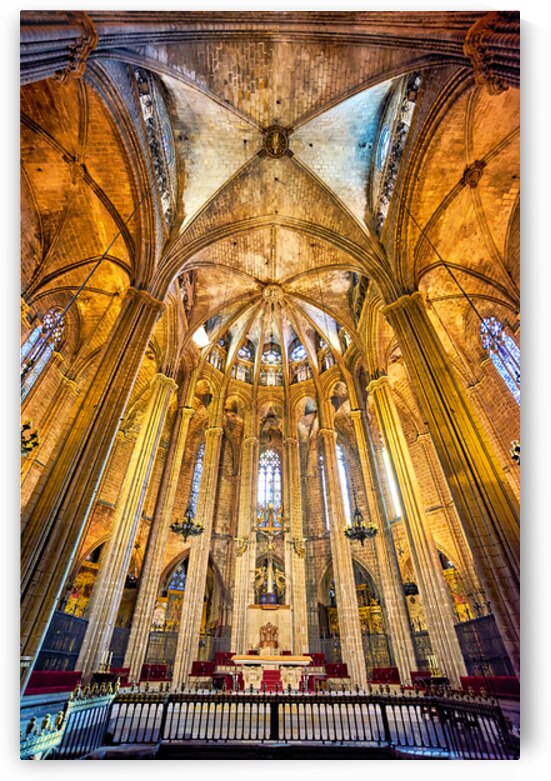 Iconic views of Barcelonas Holy Cross Cathedral by Marco Brivio
