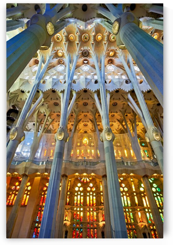 Explore the stunning interior of Basílica de la Sagrada Famíli by Marco Brivio