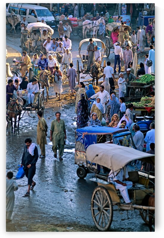 Vibrant street market scene in Lahore Pakistan during the day by Marco Brivio