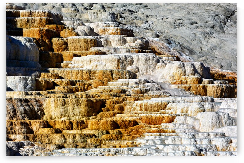 Devils Thumb in Yellowstone features unique rocks by Marco Brivio