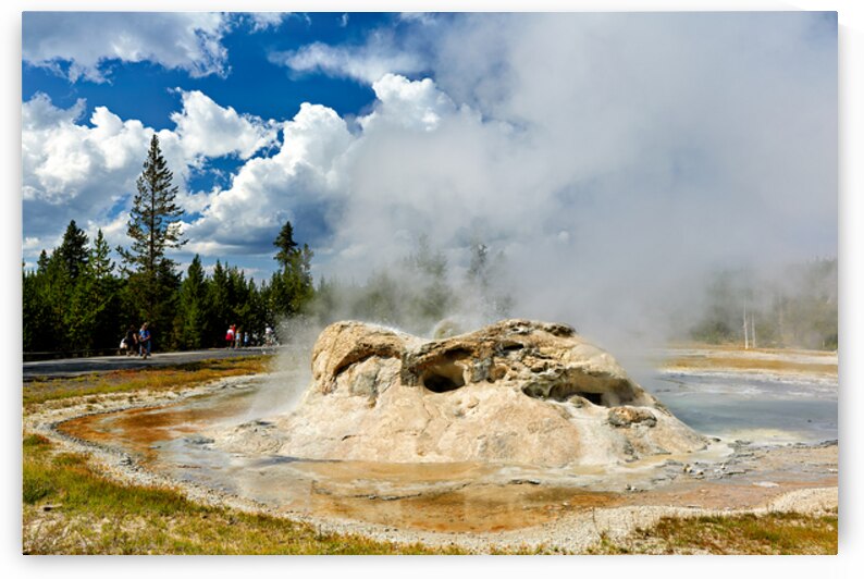 Grotto Geyser erupts in Yellowstone National Park on a sunny day by Marco Brivio