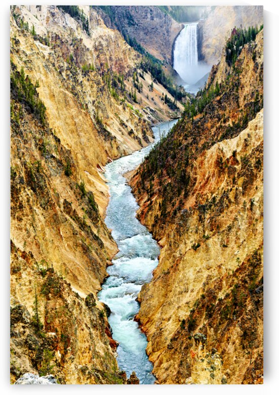 View of the grand canyon in yellowstone national park by Marco Brivio
