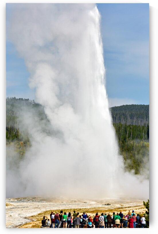 Tourists watch Old Faithful Geyser erupt in Yellowstone Park by Marco Brivio
