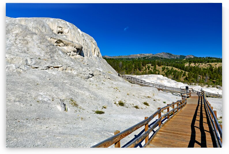 Exploring mound spring and Jupiter Terrace in Yellowstone by Marco Brivio