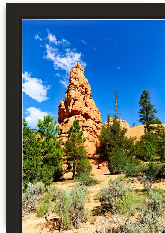 Visit to Dixie National Forest during a sunny afternoon by Marco Brivio