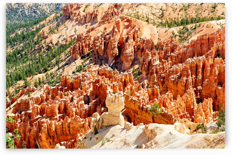 View of Bryce Canyon National Park from Bryce Point in summer by Marco Brivio