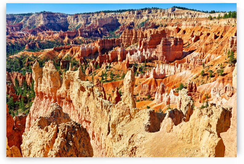 Views of queens garden in bryce canyon national park usa by Marco Brivio