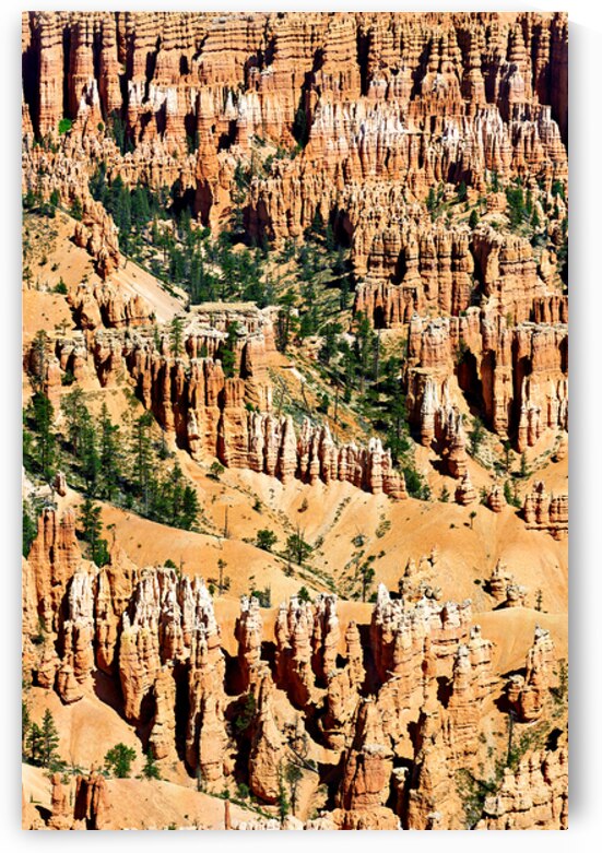 Explore Bryce Canyon National Park at Bryce Point viewpoint by Marco Brivio