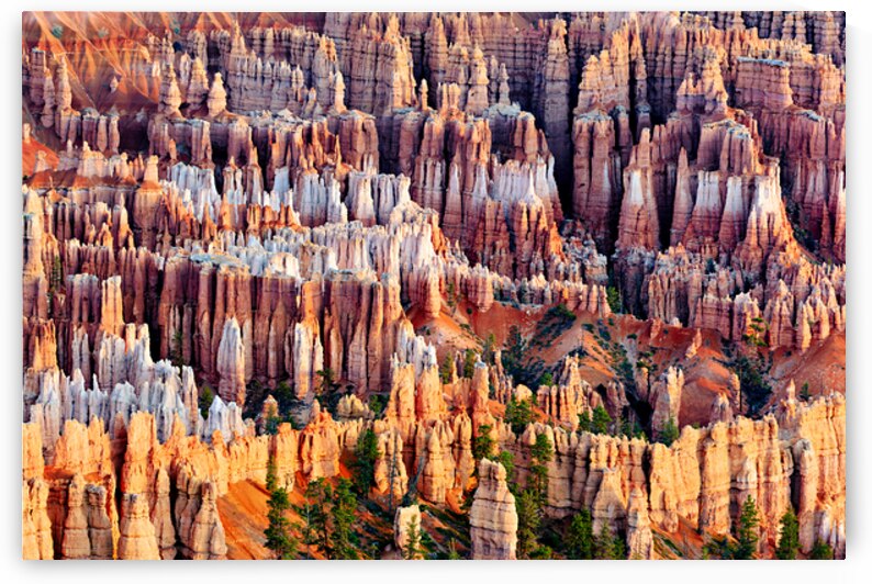 Views from bryce point in bryce canyon national park by Marco Brivio