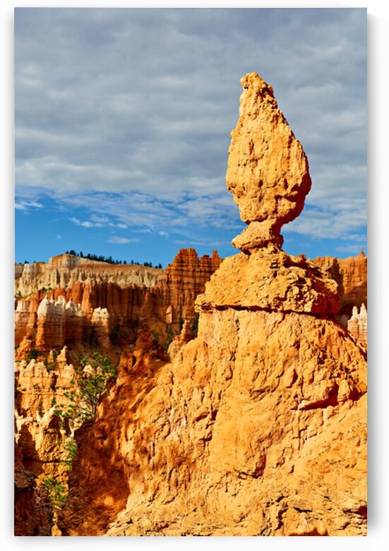 Visiting queens garden in bryce canyon national park by Marco Brivio