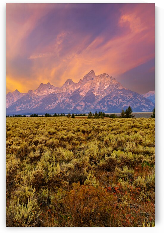 Grand Teton National Park view during the evening light by Marco Brivio