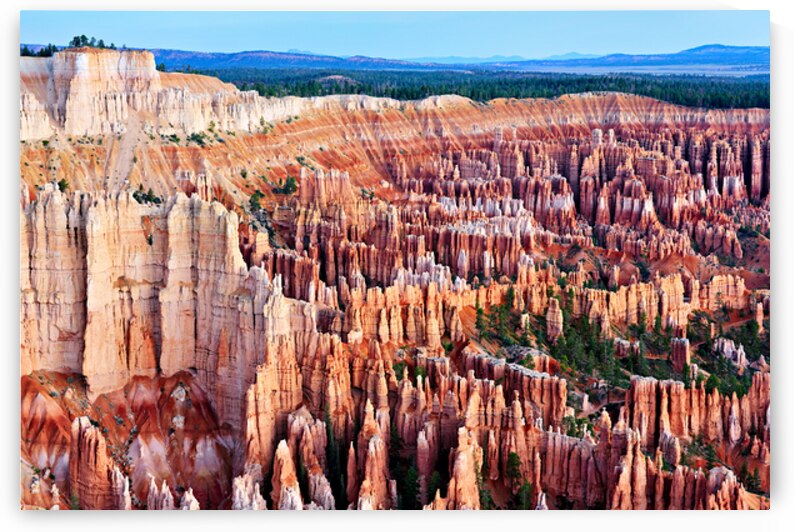 View from bryce point in bryce canyon national park by Marco Brivio