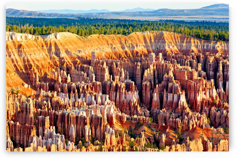 Views of bryce point at bryce canyon national park by Marco Brivio