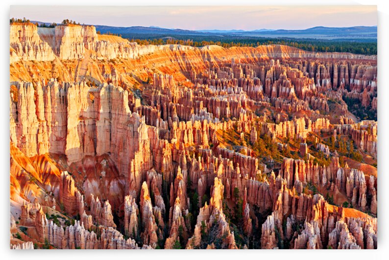 View of Bryce Canyon from Bryce Point during sunset by Marco Brivio