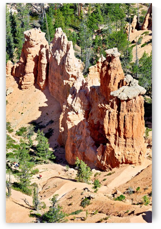 Bryce Point offers views of canyon rock formations by Marco Brivio