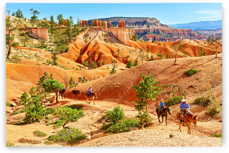 Horseback trip in Queens Garden at Bryce Canyon National Park by Marco Brivio